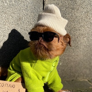 Telegram profile photo for Гриффон в большом городе