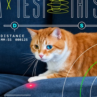 Telegram profile photo for NASACAT / $SPCX RWA Pair