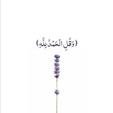 Telegram profile photo for وتشاءُ انت من الاماني نجمةً ✨