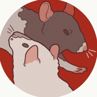 Telegram profile photo for OlegCR