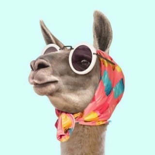 Telegram profile photo for Shotormusic🐫