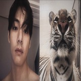 Telegram profile photo for Tигр’kiss