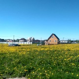 Telegram profile photo for Веревское 🏡