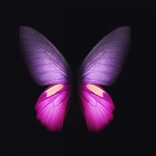 Telegram profile photo for Mofta7elganaمفتاح الجنه