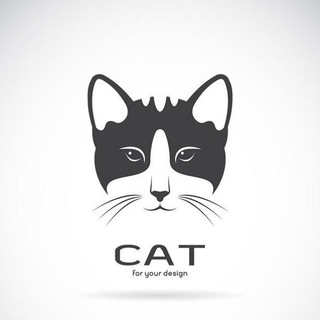 Telegram profile photo for CAT 机场/vps优惠推荐平台