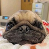 Telegram profile photo for Рекламное агенство |
