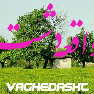Telegram profile photo for واقعه دشت