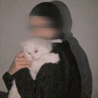 Telegram profile photo for بارانويا