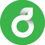 Telegram profile photo for سبدگردانی ترنج