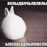 Telegram profile photo for чумная полянка🫰🏻