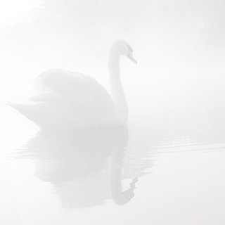 Telegram profile photo for Ɯᨵη ɞ𝘶᧘᧘ ᭺