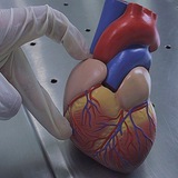 Telegram profile photo for Pinterest Medical
