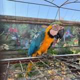 Telegram profile photo for Природа России