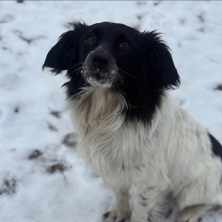 Telegram profile photo for игры/лоты от ❤️АЛИ/ЛАККИ ❤️