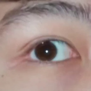 Telegram profile photo for π π π π πΌ π π π π β’ π π π π πΎ π€