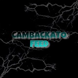 Telegram profile photo for Vouch | Cambackato | 300+