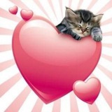 Telegram profile photo for восян клубничные рисуночки