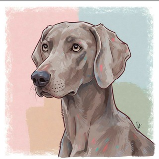 Telegram profile photo for семья персюшкиных