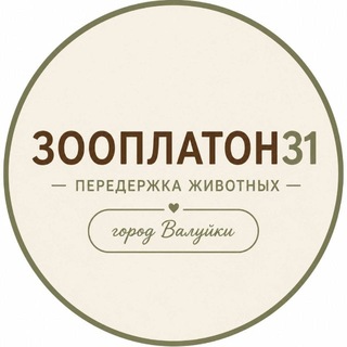 Telegram profile photo for ЗООПЛАТОН31 (ZOOPLATON31)