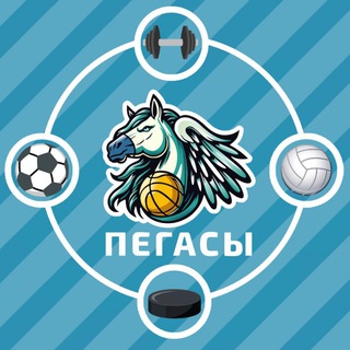Telegram profile photo for Спортивный Клуб «Пегасы»