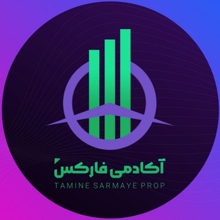 Telegram profile photo for آکادمی فارکس تامین سرمایه