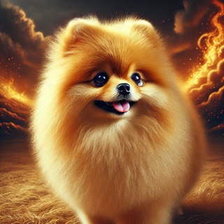 Telegram profile photo for Oreo Fire