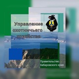 Telegram profile photo for Управление охотничьего хозяйства Правительства Хабаровского края