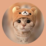 Telegram profile photo for Cathat