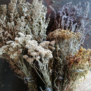 Telegram profile photo for ТРАВЫ🌿🌱СПЕЦИИ, Натуропатия