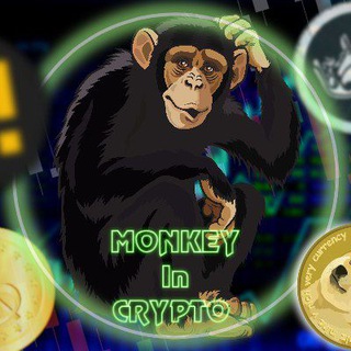 Telegram profile photo for Monkey in crypto 🐵