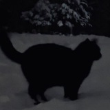 Telegram profile photo for жизнь в хайпе(. ❛ ᴗ ❛.)