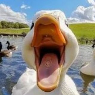 Telegram profile photo for Riss for ever