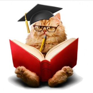 Telegram profile photo for Афоризмом по лицу