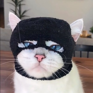 Telegram profile photo for skimaskcat