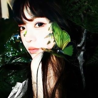 Telegram profile photo for 飞机号商