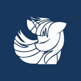 Telegram profile photo for Fundacja BT