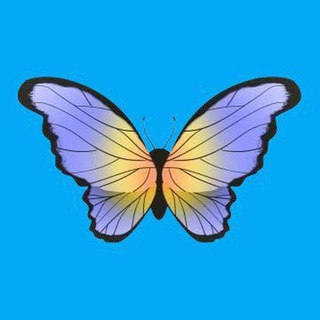 Telegram profile photo for LPM 30~TOTO6