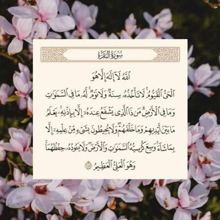Telegram profile photo for خِـتَـامُـهُ مِـسْـكٌ💚