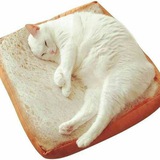 Telegram profile photo for ЛАРАИЗКРАСНОДАРА
