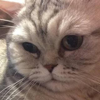 Telegram profile photo for Bonelord