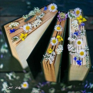 Telegram profile photo for BehtarBin 🌷🇮🇷🖌بهتربین