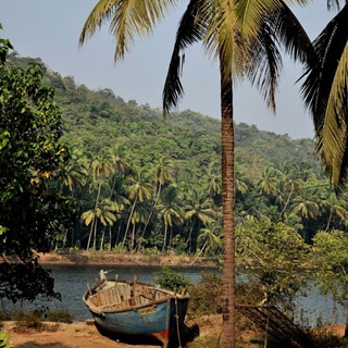 Telegram profile photo for India
