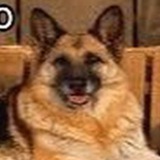 Telegram profile photo for виски кола