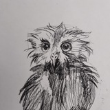 Telegram profile photo for Scops