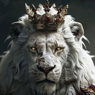 Telegram profile photo for 🇦🇷 MAGArg🇦🇷®️️️