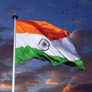 Telegram profile photo for VIPM English Discussion (Group)