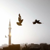 Telegram profile photo for • قُـرَّة '
