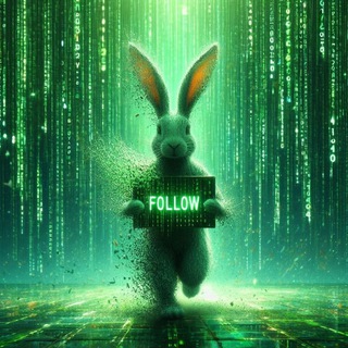Telegram profile photo for Crypto Hunter