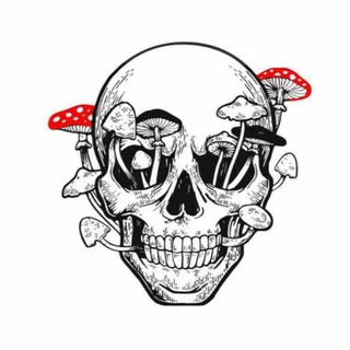 Telegram profile photo for Друзь 200
