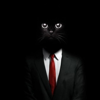 Telegram profile photo for dirtydoxxers